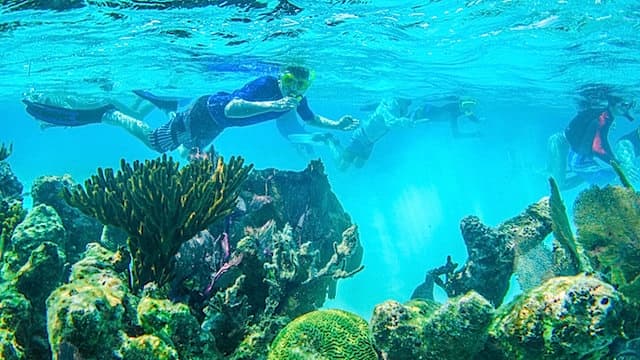 Belize Barrier Reef