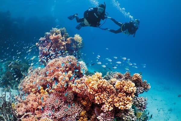 Great Barrier Reef