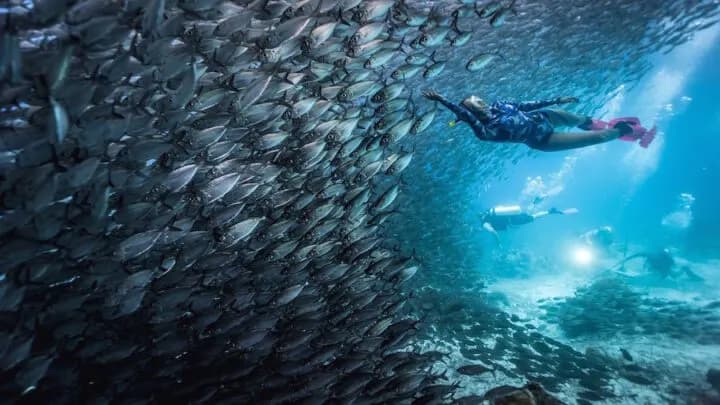 Raja Ampat