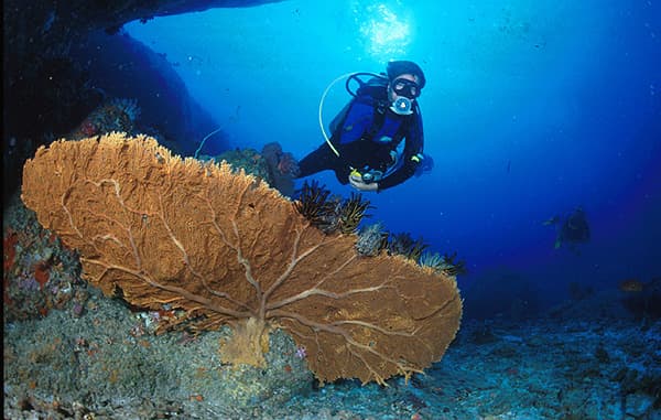 Similan Islands